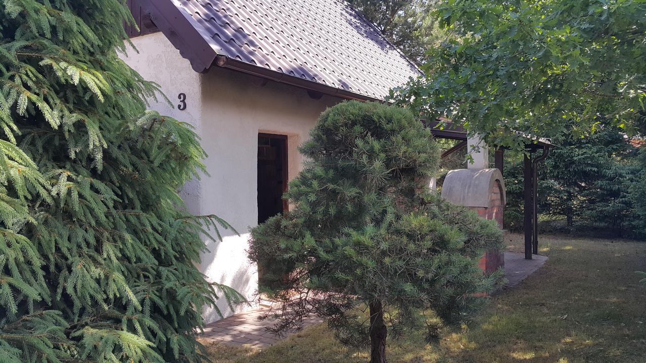 Jastrzębia Góra Osada Pod Czerwonym Debem - Czarny Mlynヴィラ エクステリア 写真